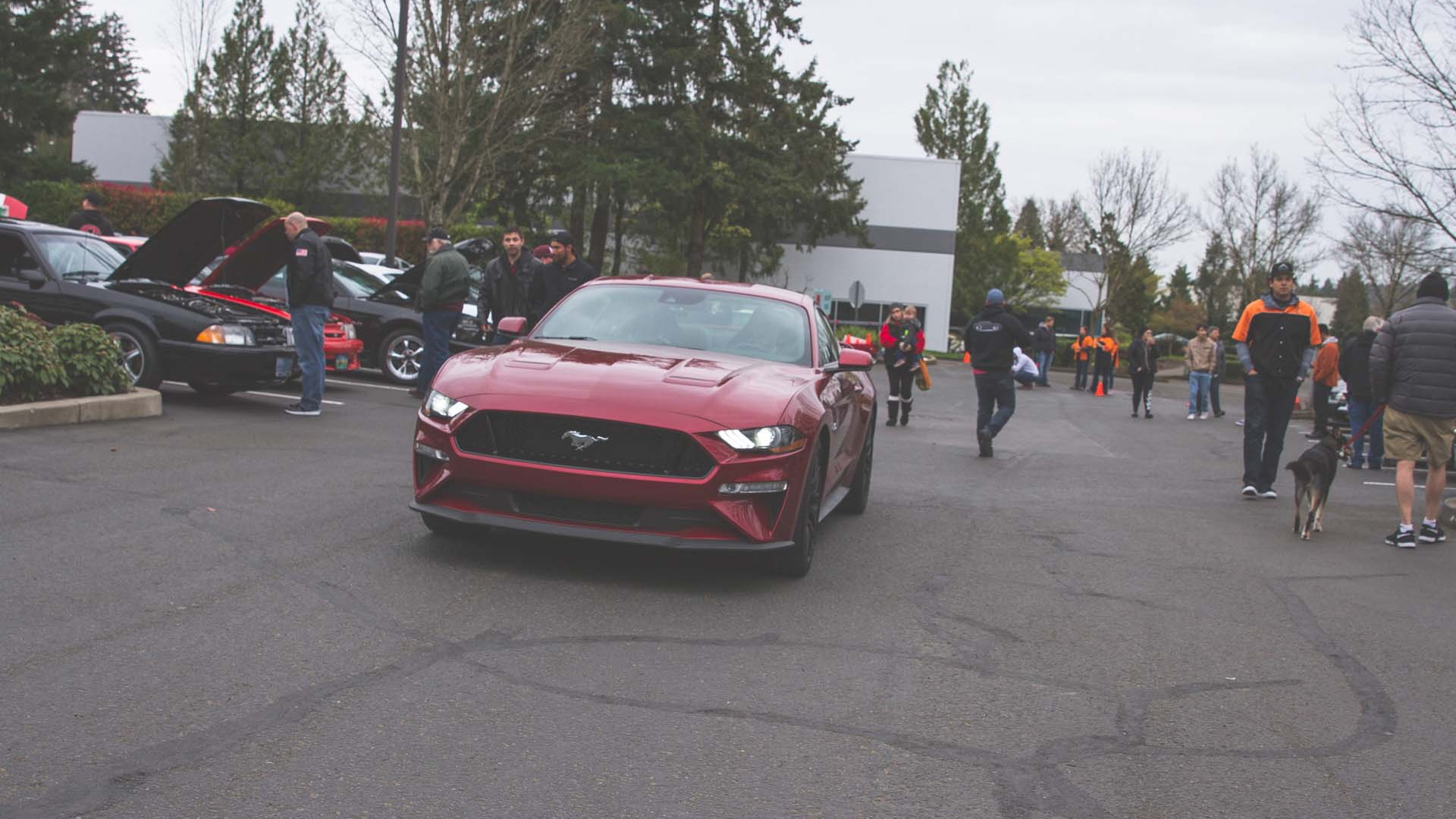 Portland Cars & Coffee Mustang Day