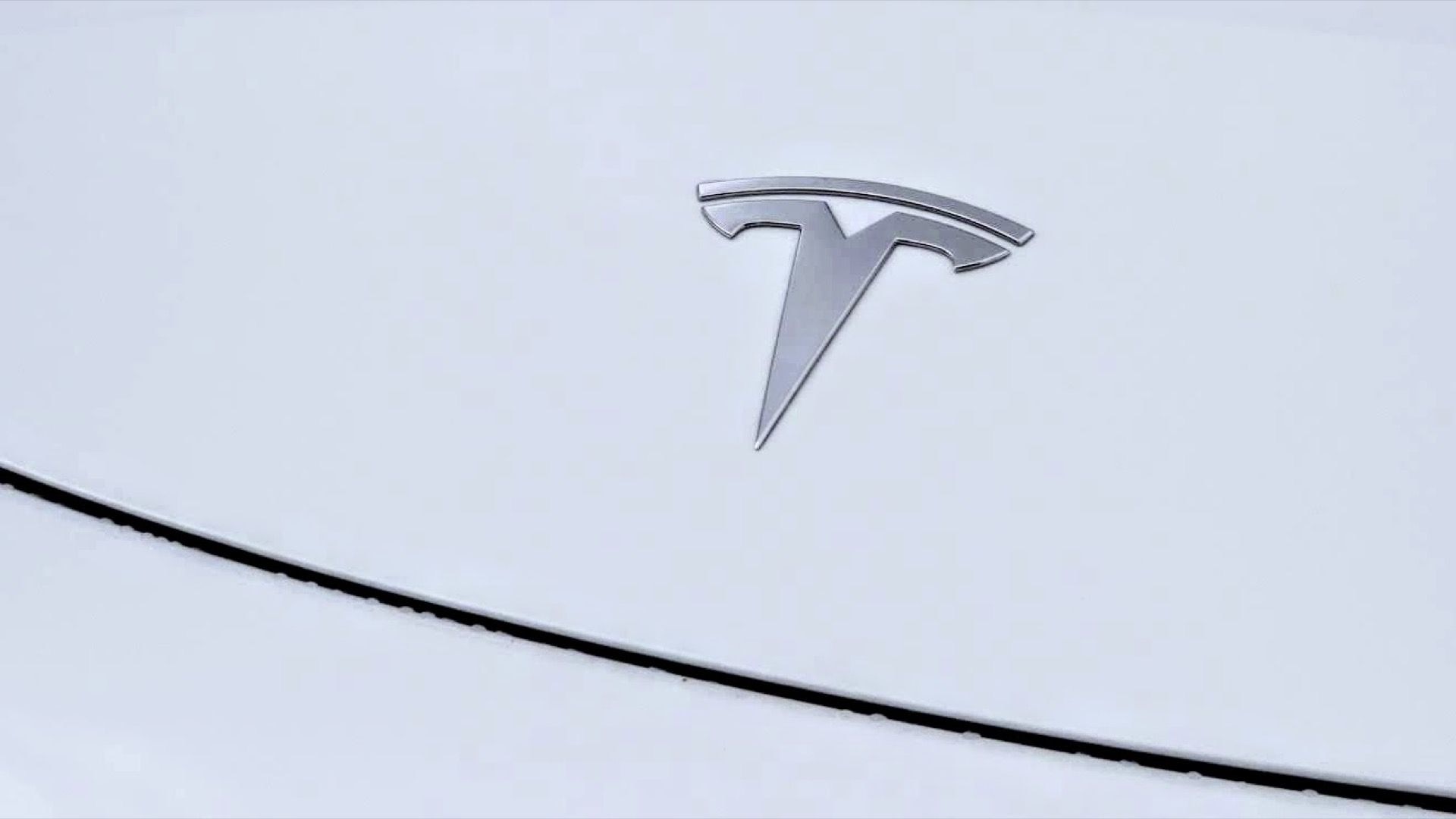 New Tesla Model 2: project 'Redwood' will be firm's entry-level electric  car in 2025