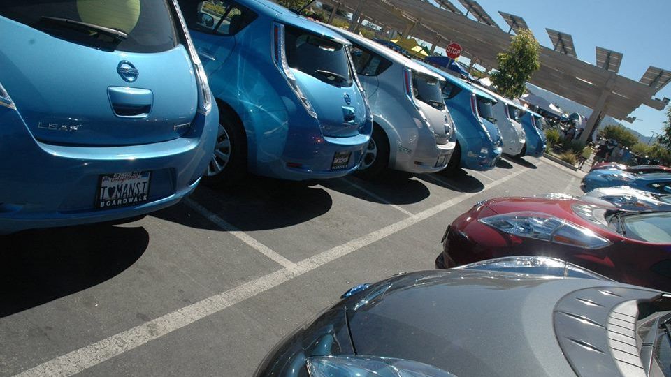 National Plug-In Day 2013: Nissan Leafs at Cupertino, CA [Photo by Corine van Deventer-Geljon]