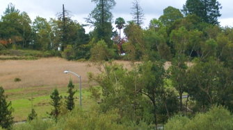 Meadows at Fountaingrove - Santa Rosa, CA