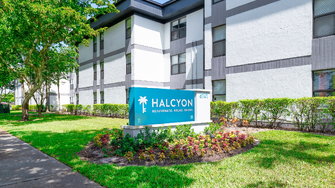 Halcyon - Hollywood, FL