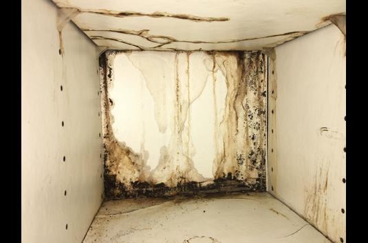 Surrey Lane Apartments - 26 Reviews | Lacey, WA Apartments for Rent