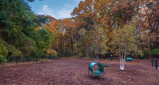 Halstead Framingham - 625 Reviews | Framingham, MA Apartments for Rent