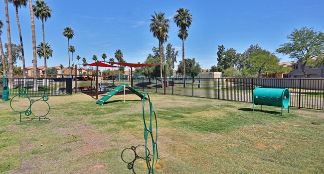 Autumn Creek 55 Reviews Chandler, AZ Apartments for