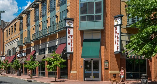 The Citizen at Shirlington Village 347 Reviews