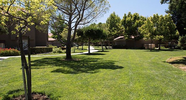 Stonelake Apartment Homes - 53 Reviews | Elk Grove, CA Apartments for