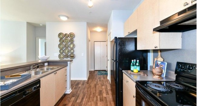 Avana on Main - 211 Reviews | Atlanta, GA Apartments for Rent