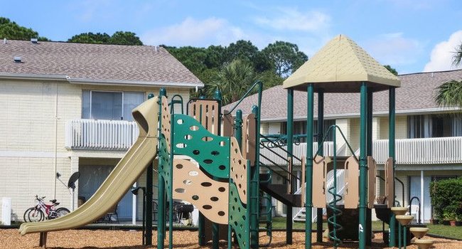 Palmera Pointe Condominiums - 14 Reviews | Tampa, FL ...