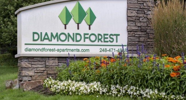 Diamond Forest - Farmington Hills MI