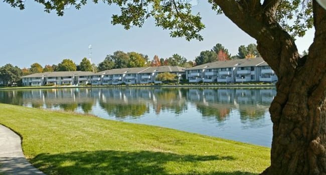 Beach Cove Apartments - 77 Reviews | Foster City, CA Apartments for