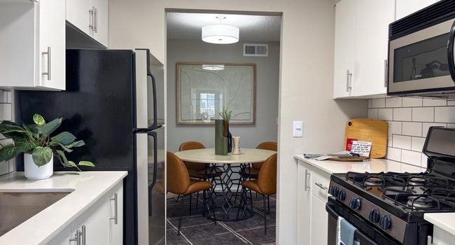 Newly Renovated Kitchen with Stainless Steel Appliances