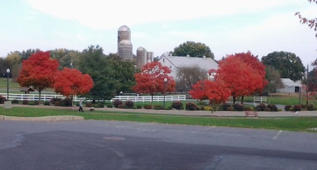 Bentley Ridge 226 Reviews Lancaster Pa Apartments For