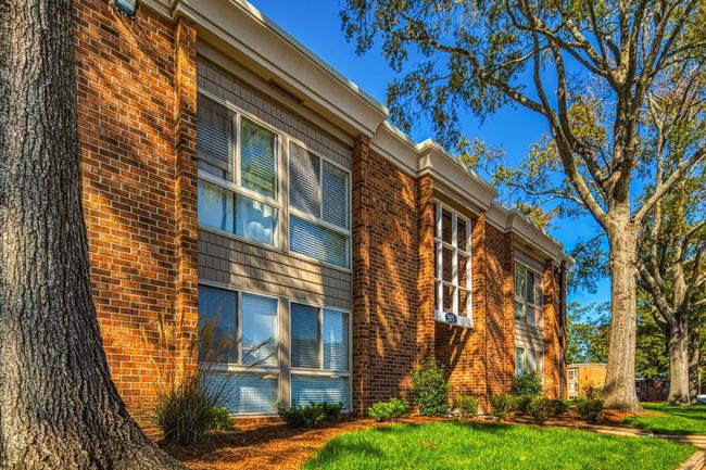 Birdneck Village Apartments - 89 Reviews | Virginia Beach, VA